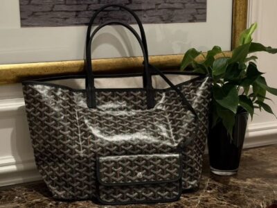 Сумка Goyard Saint Louis PM black